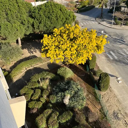 Port Camargue P2 Daire *